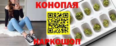 apvp Лесосибирск