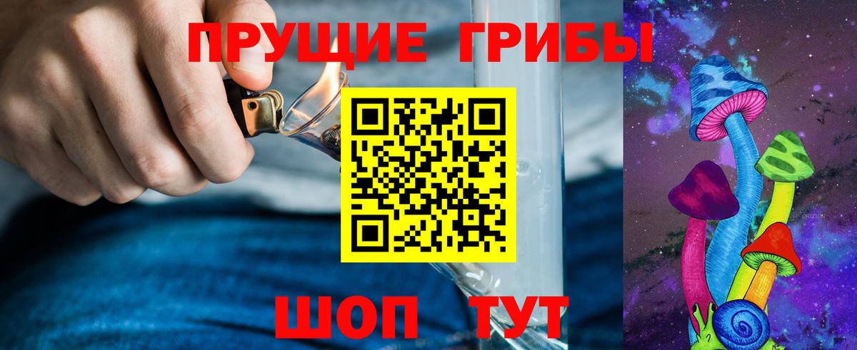 Галлюциногенные грибы Magic Shrooms  где купить наркотик  Тимашёвск  Вход с VPN 